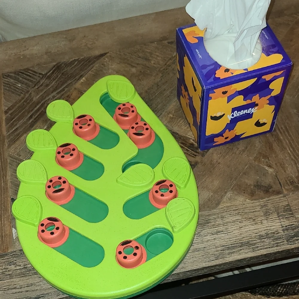 Interactive Leaf Puzzle Dog Toy - Lime Green and Orange